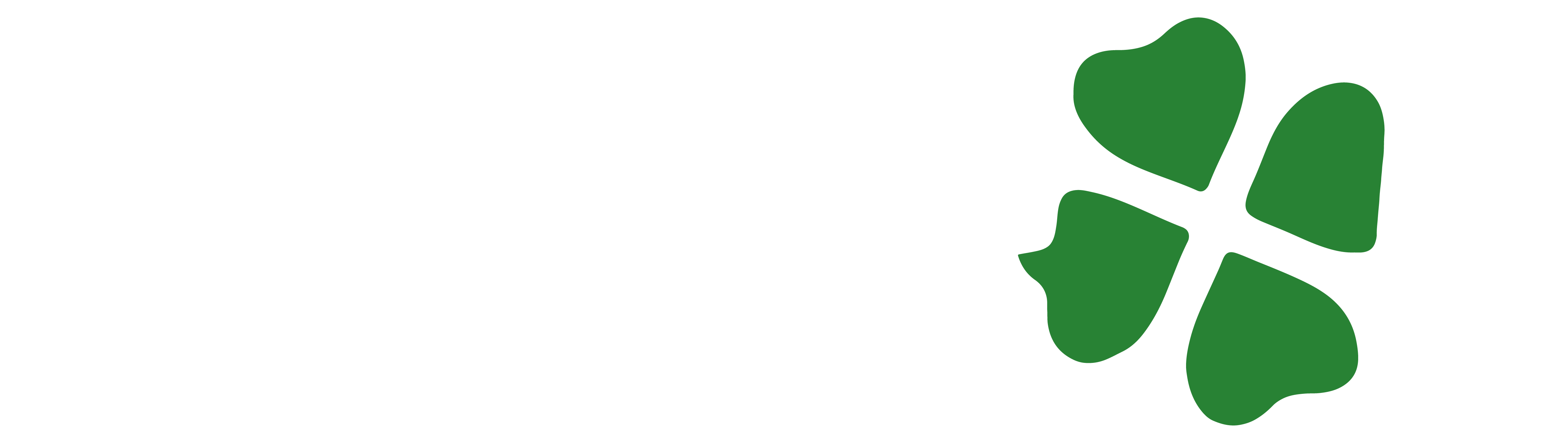Logo Saltoki Trikideak